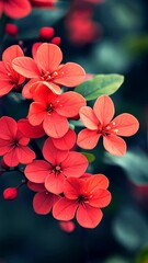 Wall Mural - Vibrant red flowers in full bloom during springtime in a lush garden close to sunset creating a peaceful atmosphere