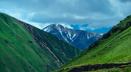Fototapete - Mountain summer landscape with green grass and clouds