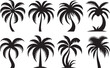 © Creative Art - set of palm trees