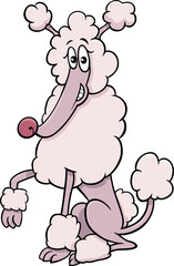 Wall Mural - cartoon white poodle purebred dog animal character