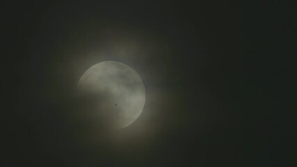Wall Mural - Bird flies over the face of a ful moon shrouded in dark clouds