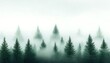 © Amelia - Misty Pine Forest Landscape.
