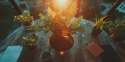 Aufkleber - Golden Hour Botanical Workspace Inspirational Nature-Infused Productivity Scene with Soft Lens Flare, Showcasing Modern Biophilic Design and Creative Professional Environments