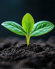 Poster - Regenerative Agriculture Breakthrough Vibrant Young Seedling Emerging in Ultra-Detailed Macro - Sustainable Growth Innovation for Climate-Conscious Enterprises