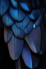 Wall Mural - a detailed look at the feathers of a blue bird, suitable for use in nature or wildlife photography c