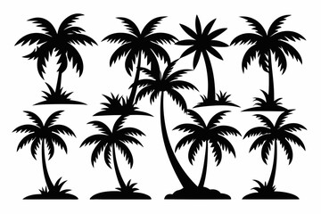 the palm tree of Sihouette black vector