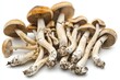 © Anna - Psilocybin mushrooms cluster on white background for natural medicine and fungus study