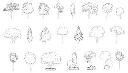 Cad tree line minimal style, set of graphics trees elements outline symbol for architecture and landscape design drawing. Vector illustration.