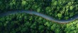 © StellaStudio - Aerial view of winding road through lush green forest with cars. Serene nature driving scene featuring curved road and dense trees.