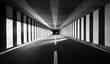 © art.nam - Black and white striped tunnel interior with road.