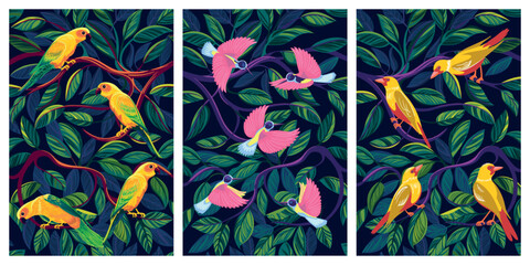 Set of 3 cards with bright colorful parrots and tropical birds on a tropical forest branches. Handmade drawing vector illustration. Can be used in cards, books, banners etc. 