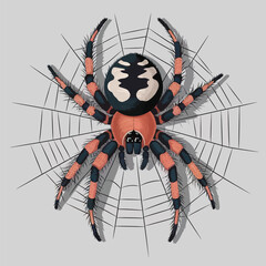 Cute cartoon spider on white background