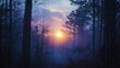 © akun - Misty sunset forest scene, sun peeking through trees, winter landscape, nature background, ideal for travel brochures