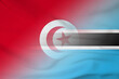 © dmitriy - Tunisia and Botswana national flag transborder negotiation BWA TUN