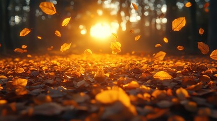 Poster - Golden autumn leaves falling in a forest at sunset.