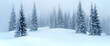 © Tumben - Snowy Pine Forest In Winter