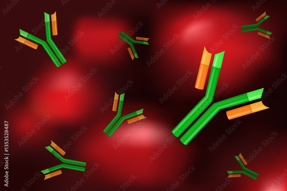Antibody molecule in blood vessel. Immunoglobulin. Humoral immunity ...