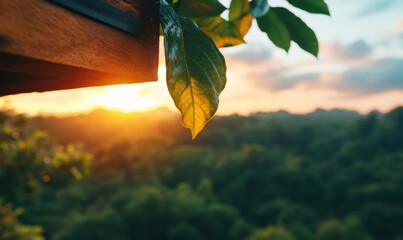 Poster - Golden Hour Tranquility Eco-Conscious Remote Work Inspiration - Biophilic Design Meets Digital Nomad Lifestyle in Sustainable Tropical Workspace