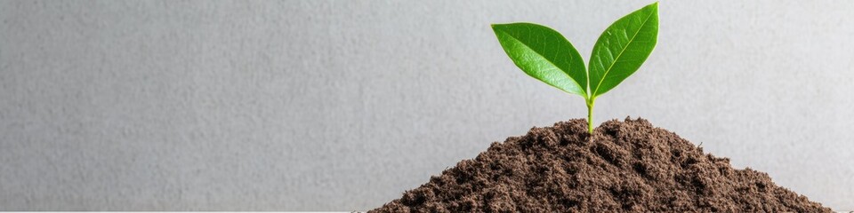 Poster - Regenerative Agriculture Breakthrough Vibrant Green Seedling Emerging from Rich Soil - Sustainable Farming Innovation and Climate Resilience Visualization