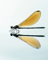 Wall Mural - a close-up view of a dragonfly on water. its wings shimmer in sunlight, showcasing delicate details 