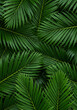 © qunoo - [Generative ai] 녹색 열대 잎사귀 패턴