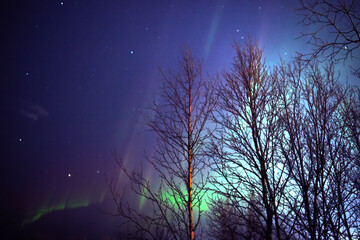 Wall Mural - aurora borealis, polar lights with milky way stars.