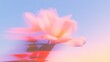 © YOUR - Blurry abstract flower with dreamy pastel color palette displayed beautifully