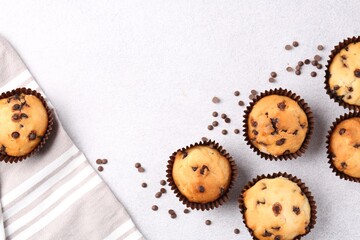 Wall Mural - delicious muffin with chocolate chips on light grey table, flat lay. space for text