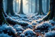 © Prayoon - Delicate frost patterns adorn a mystical forest floor, abstract, mystical