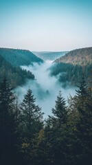 Wall Mural - Breathtaking Clear Sky Over Valley Covered in Misty Fog