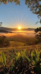 Wall Mural - Breathtaking Sunrise Above Misty Valley with Lush Greenery