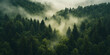 © Flower images - 朝霧に包まれる山の風景｜静かな森と夜明けの自然美