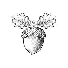 Wall Mural - Hand-Drawn Acorn With Oak Leaves on White Background. Vector illustration. Generative Ai