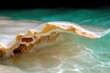 © danadesa - Close-up view of mineral formations in water.