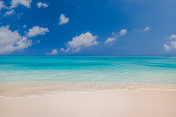 Wall Mural - pristine clear sea water bay. pristine ocean lagoon sunny cloudy sky, idyllic relaxing seascape. tra