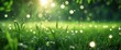 © KenPix - Lush green grass, sunlit meadow, dew drops, bokeh effect, morning light, ethereal atmosphere, macro photography, nature close-up, soft focus, dreamy landscape, golden hour, magical forest floor, vibra