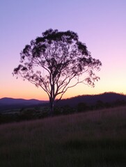 Aufkleber - Dramatic sunset over a lone tree in a serene rural landscape with warm golden hues and deep purple twilight