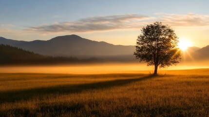 Poster - Majestic Sunset over Mountain Range with Silhouette of Tree in Golden Field : Generative AI