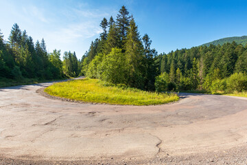 Wall Mural - pass through green coniferous forest. spruce woodland in valley. old road in carpathian mountains. v