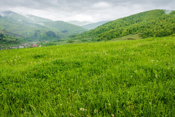 Wall Mural - countryside mountain landscape in the rain. rolling highland of ukraine. field with wet green grass 
