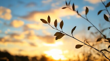 Fototapete - Beautiful silhouette of a branch against a vibrant sunset sky highlighting nature's tranquility : Generative AI