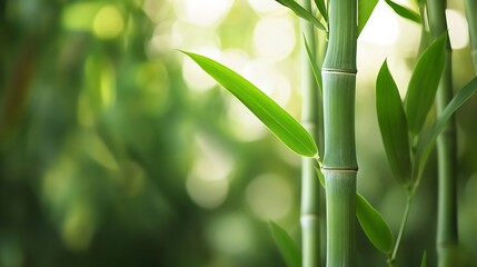 Poster - Vibrant green bamboo stalks with fresh leaves in a serene natural setting showcasing tranquility and harmony : Generative AI