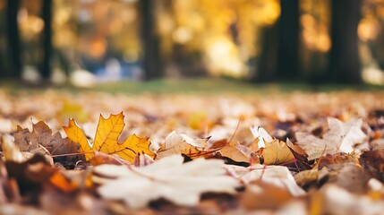 Leinwandbilder - Colorful Autumn Leaves on the Ground in a Scenic Park Landscape : Generative AI