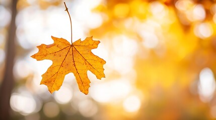 Poster - Autumn leaf hanging from a tree branch with a soft golden background showing seasonal beauty : Generative AI