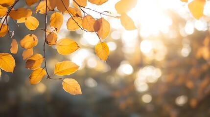 Poster - Autumn Leaves with Bokeh Background Capturing the Warm Glow of Sunlight Filtering Through Trees : Generative AI