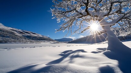 Aufkleber - Snowy landscape featuring a sundrenched tree casting dramatic shadows on pristine white snow : Generative AI