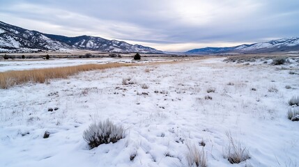 Poster - Vast Winter Landscape with SnowCovered Field and Mountains Under Overcast Sky : Generative AI