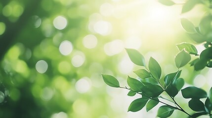 Poster - Soft Focus on Lush Green Leaves Bathed in Golden Sunlight Creating a Dreamy Atmosphere : Generative AI