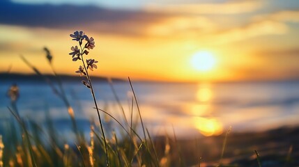 Poster - Beautiful Sunset with Flower at Beach Capturing the Essence of Nature and Tranquility : Generative AI