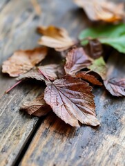 Leinwandbilder - Autumn leaves scattered on rustic wooden surface capturing the essence of the fall season : Generative AI